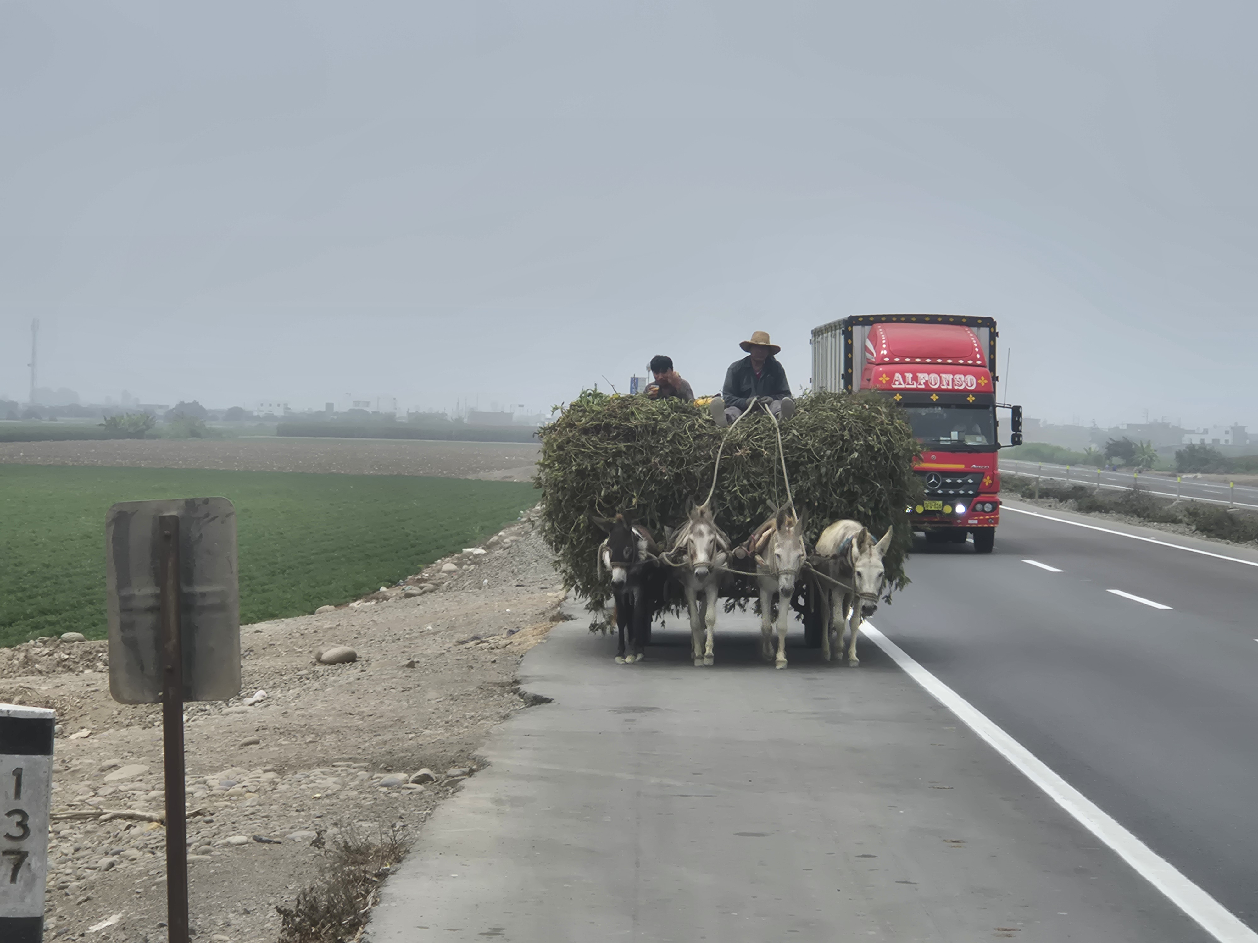 4DonkeyCart