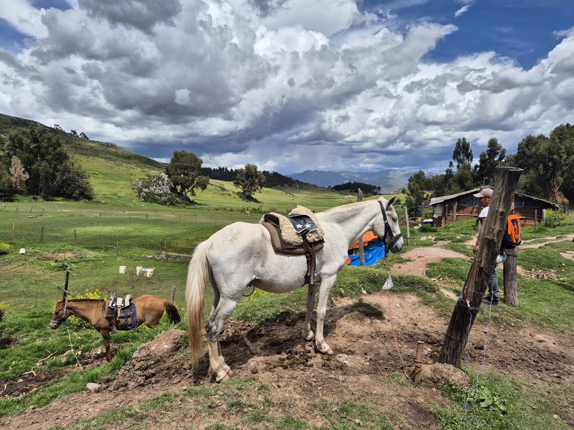 Cusco31