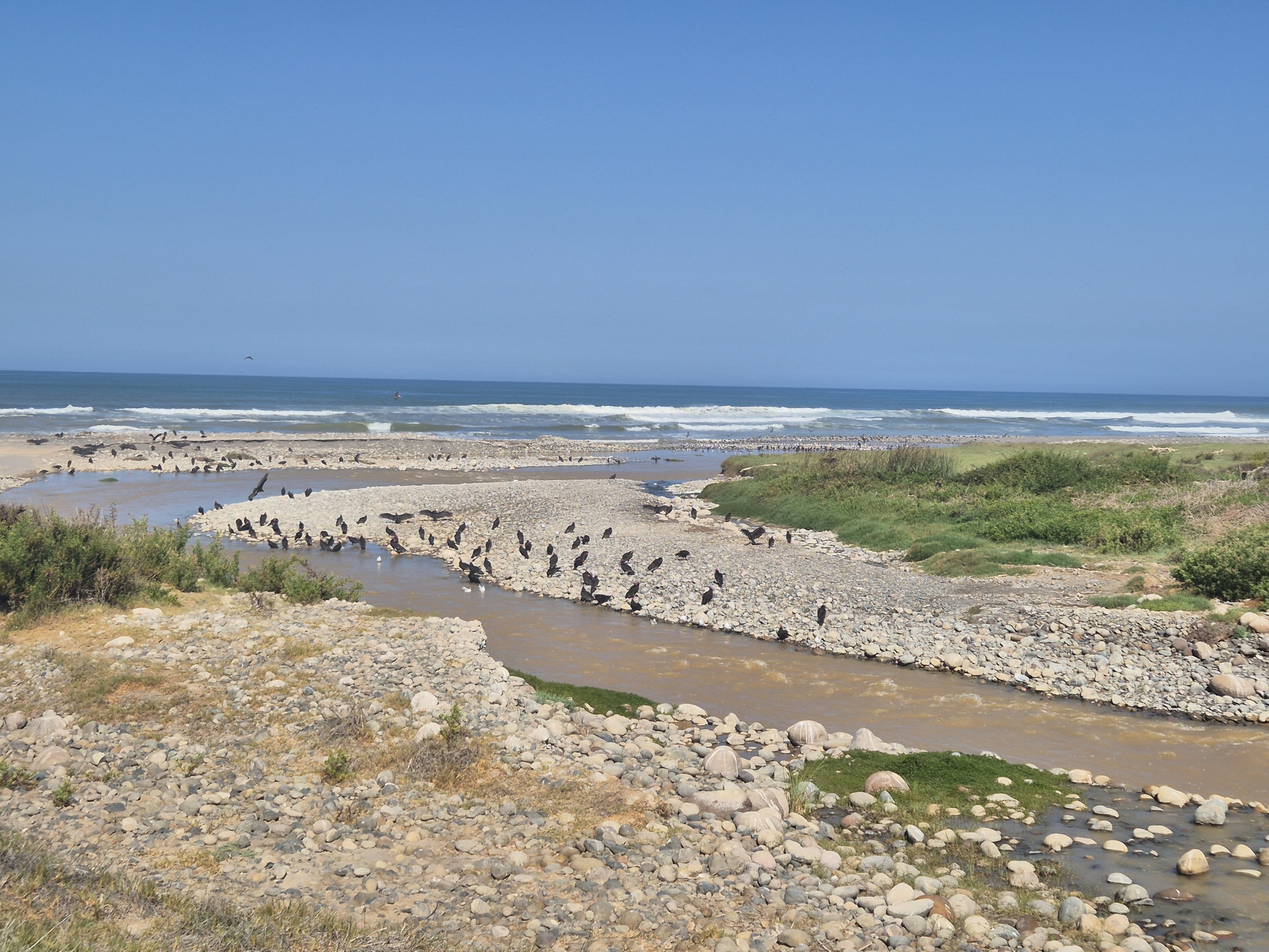 Estuary