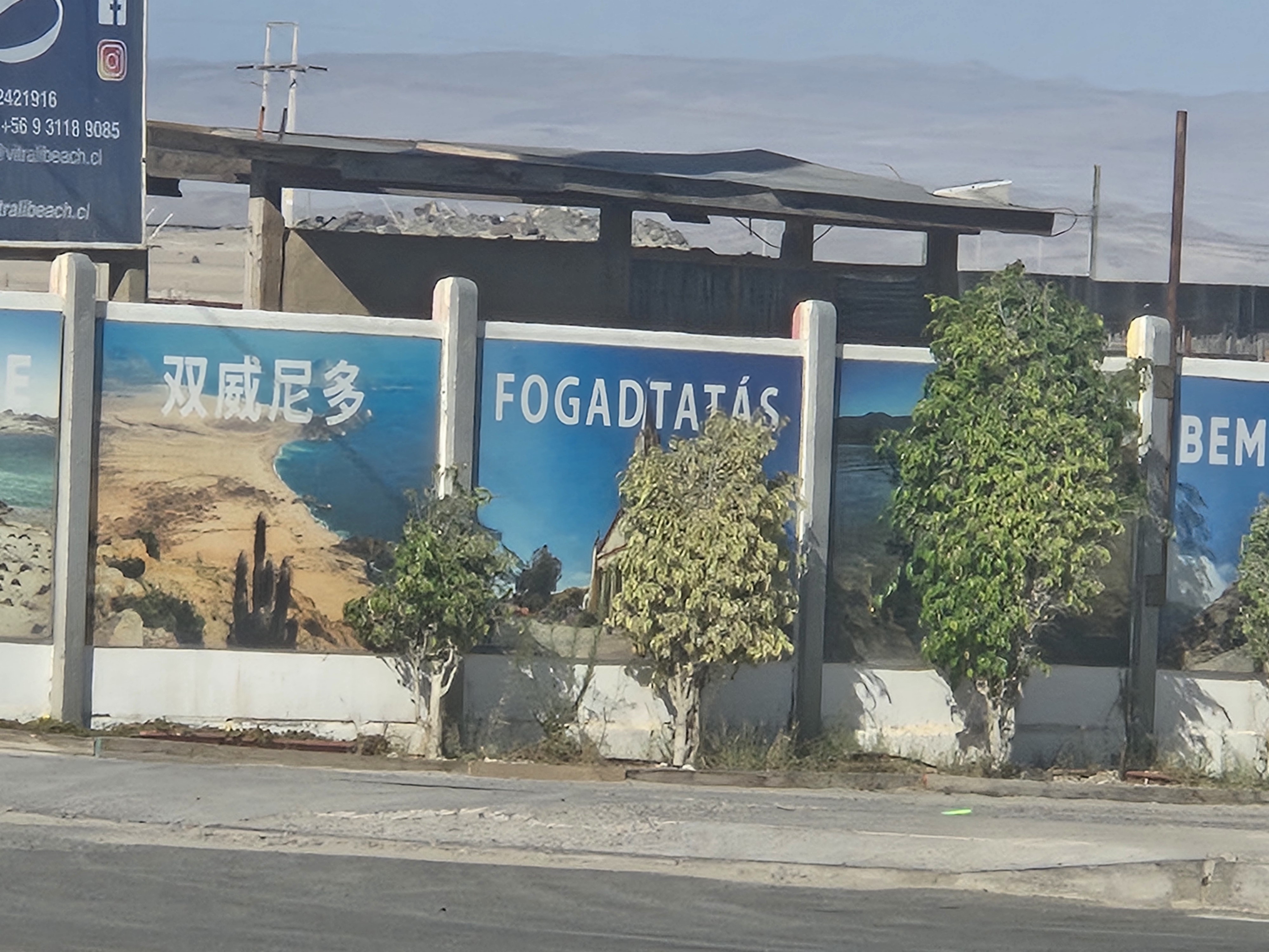 Fogadtatas