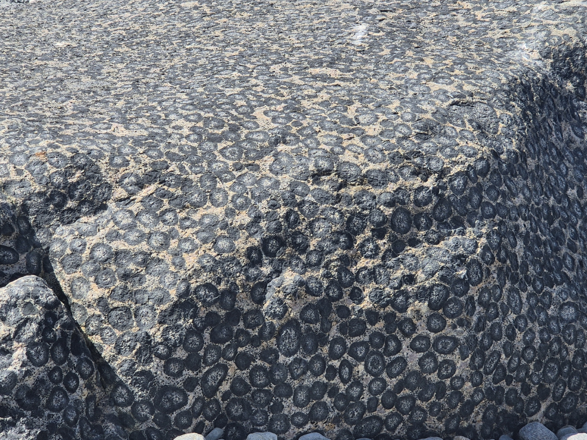 Granit2