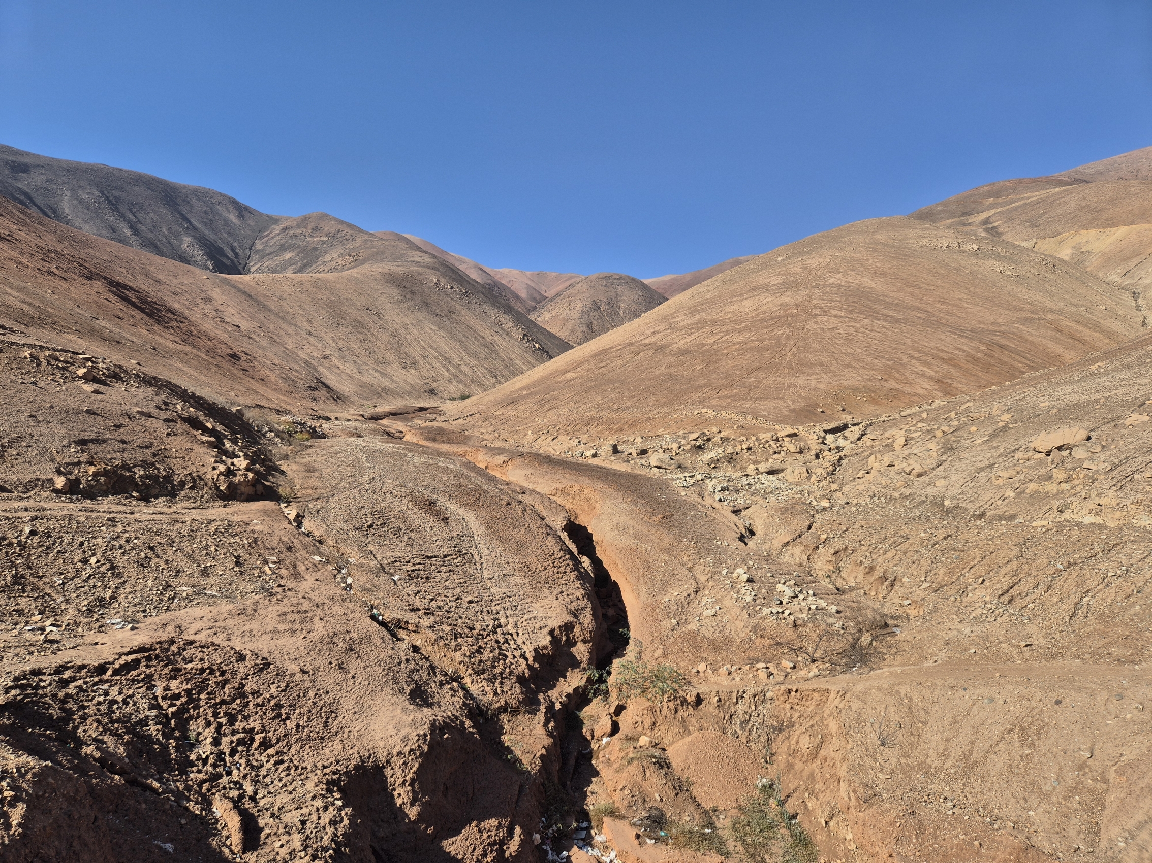 Landscape10