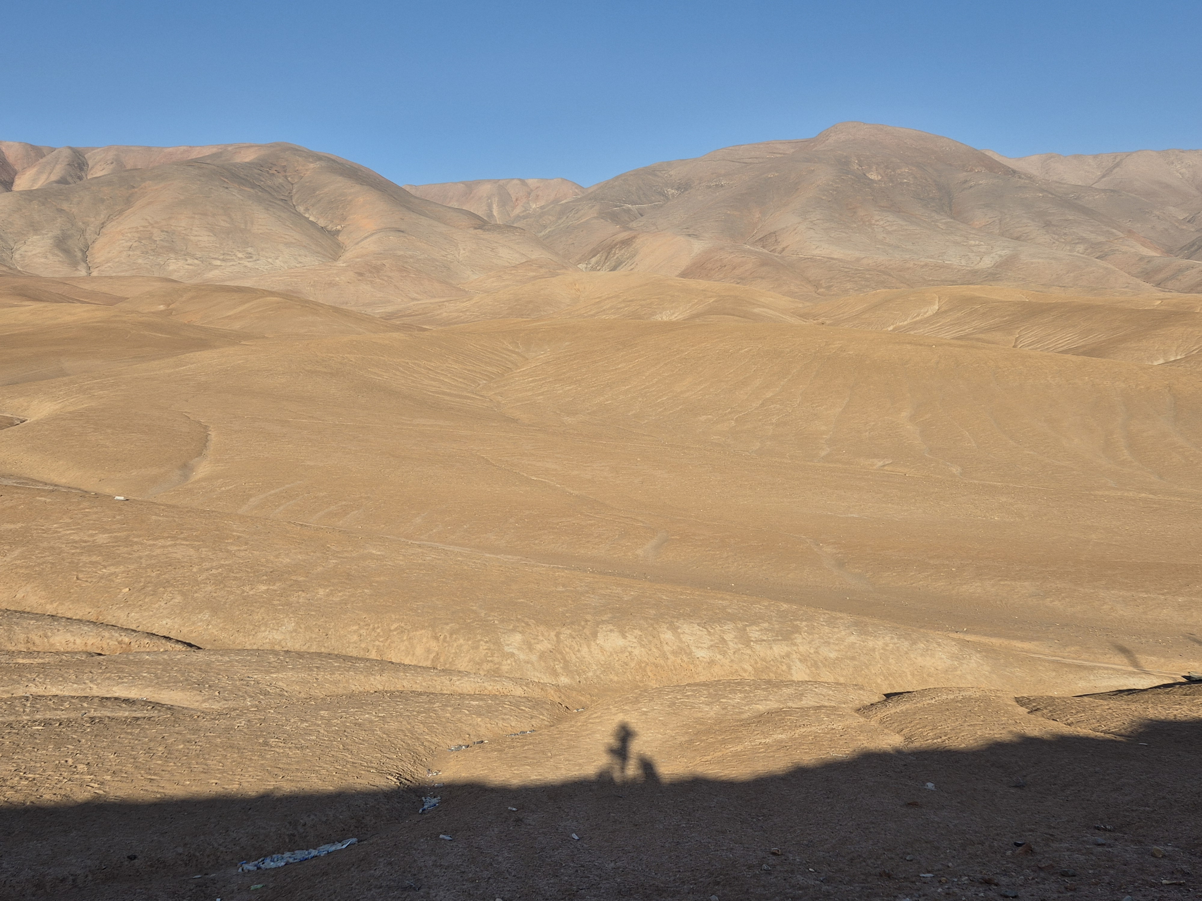 Landscape11