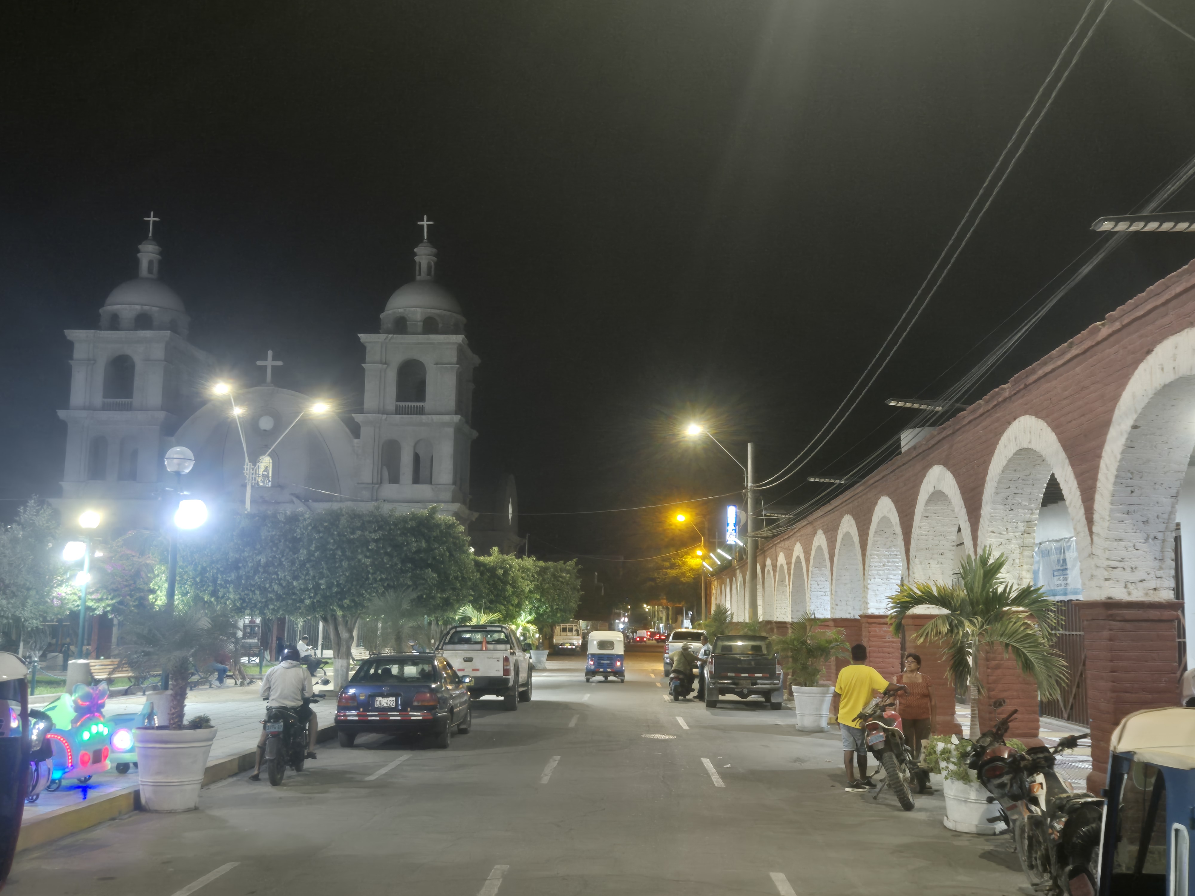 Pulpa1