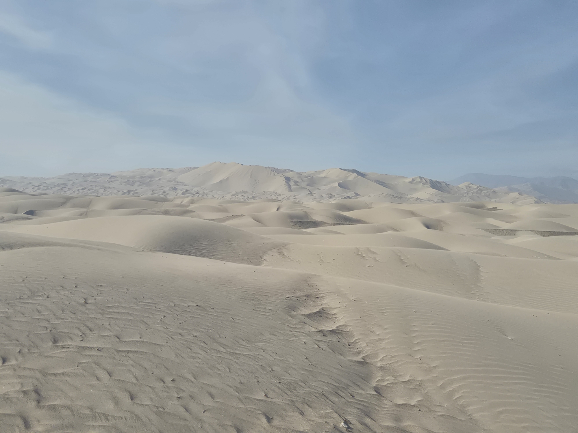 RealSahara1