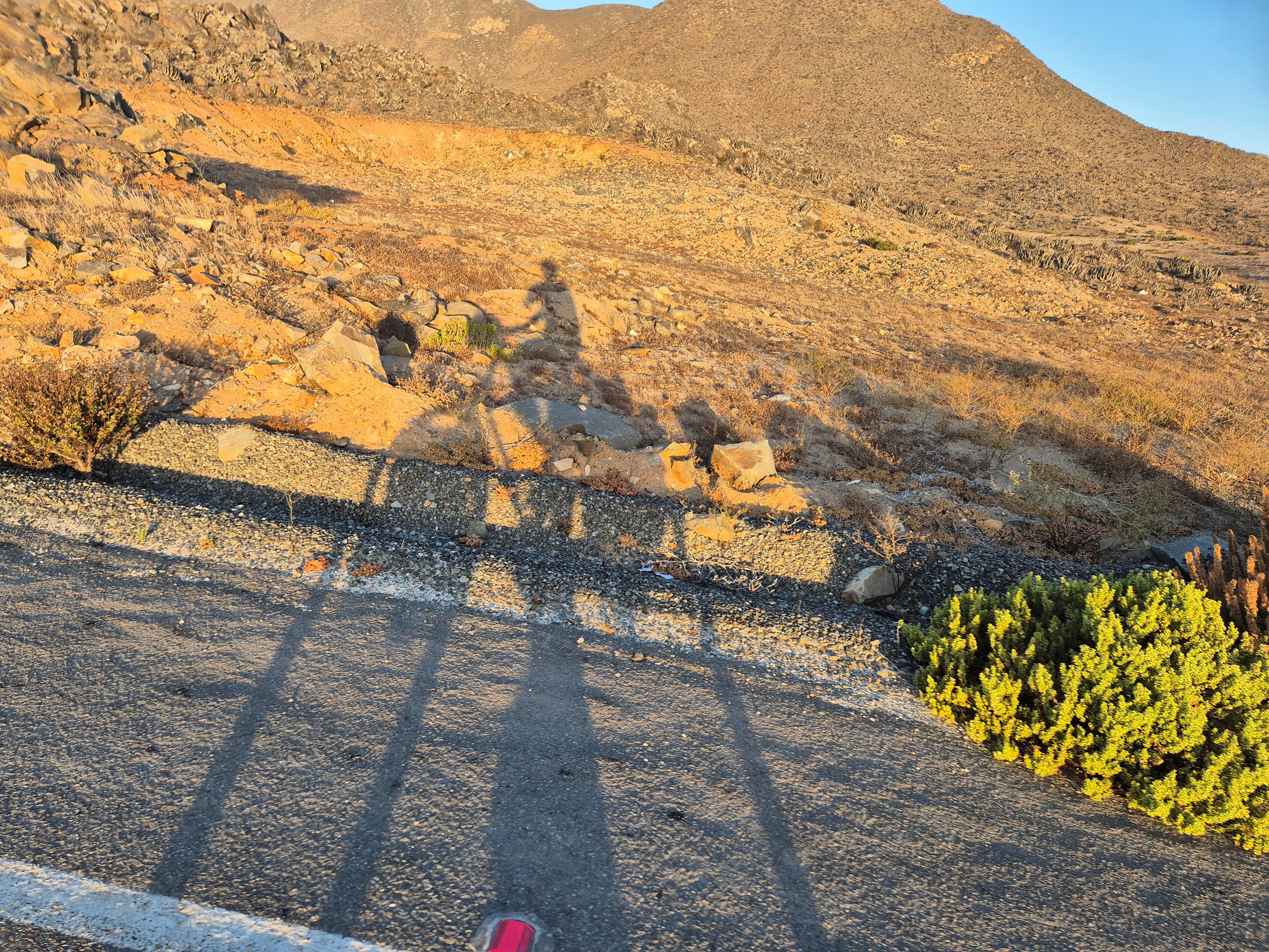 Shadow